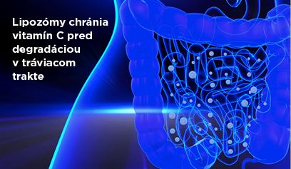 Lipozómy chránia vitamín C pred degradáciou v tráviacom trakte.