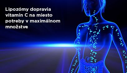 Lipozomálna technológia - telo