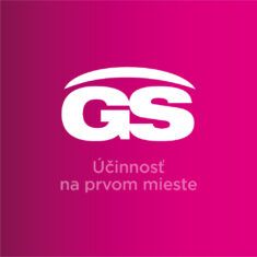 GS Merilin, 60 tabliet