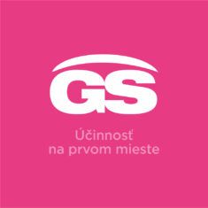 GS Mamatest Tehotenský test, 2 ks