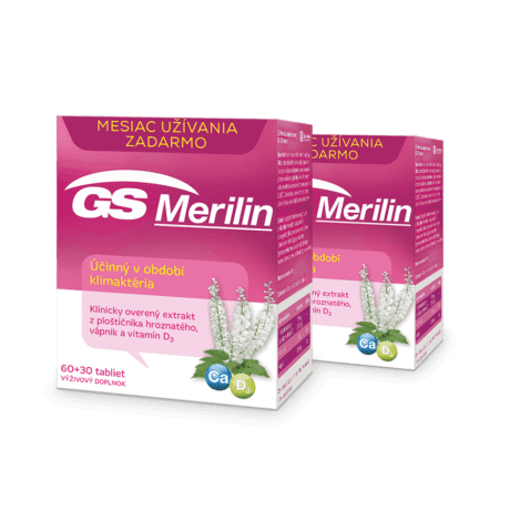 GS Merilin, 2 x 90 tabliet