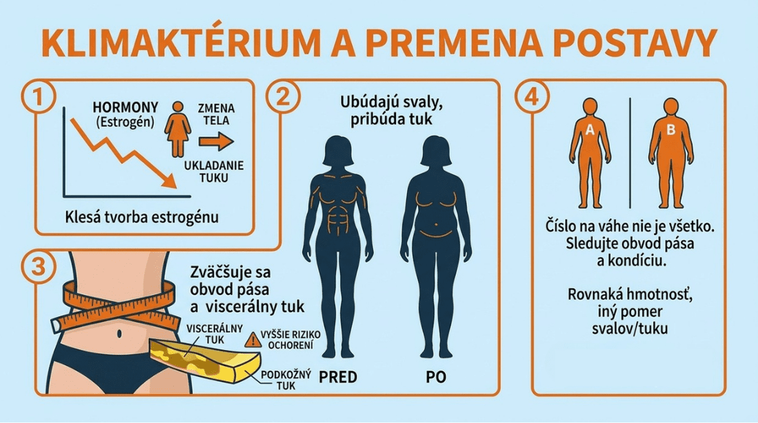 Infografika: Ako sa mení postava v klimaktériu – pokles estrogénu, úbytok svalov, pribúdanie viscerálneho tuku v oblasti pása a meranie obvodu pása.