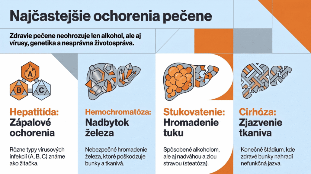 Infografika: Najčastejšie ochorenia pečene – zápalová hepatitída, hemochromatóza, stukovatenie pečene (steatóza) a cirhóza.