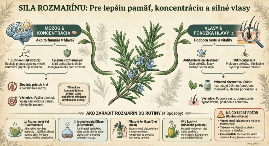 Infografika zobrazuje rozmarín, ktorý podporuje kvalitu vlasov, pamäť a koncentráciu a ako to funguje.