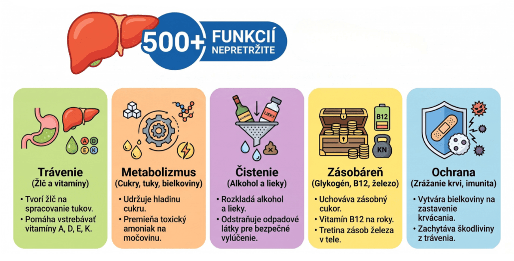 Infografika zobrazuje pečeň a jej funkcie ako sú trávenie, čistenie krvi, zásobáreň či ochrana.