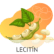 Lecitín