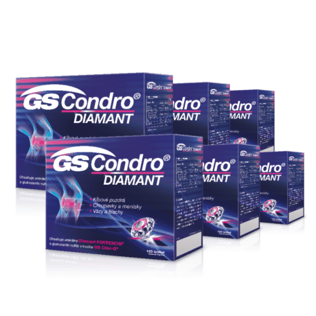 GS Condro® Diamant 6 x 120 tabliet