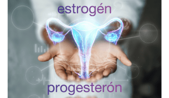 Ako hormóny estrogén a progesterón riadia rytmus zmien v tele ženy?
