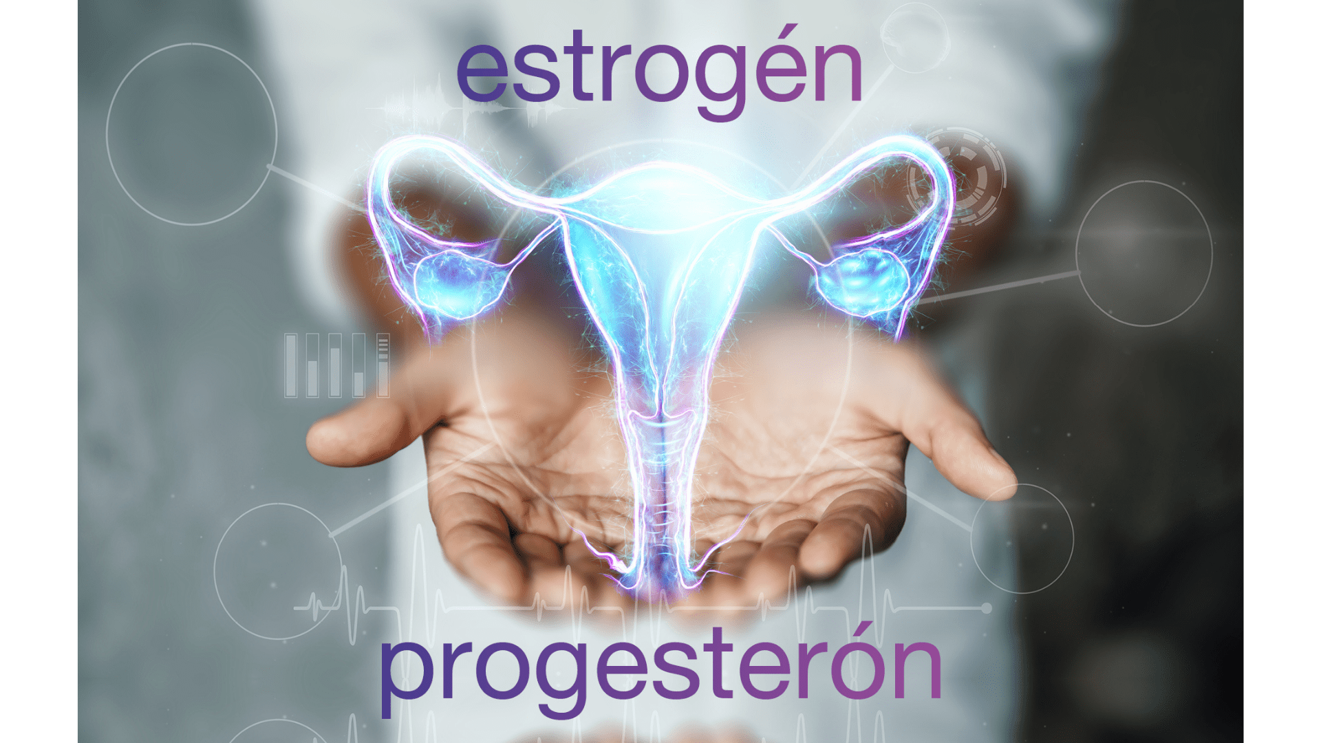 Ako hormóny estrogén a progesterón riadia rytmus zmien v tele ženy? | GSKlub.sk